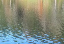 Drowning - Aliza Abusch-Magder - jGirls+ Magazine