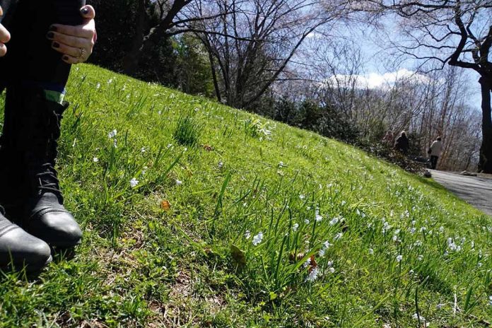 Botanical Gardens 1- Gali Davar - jGirls+ Magazine