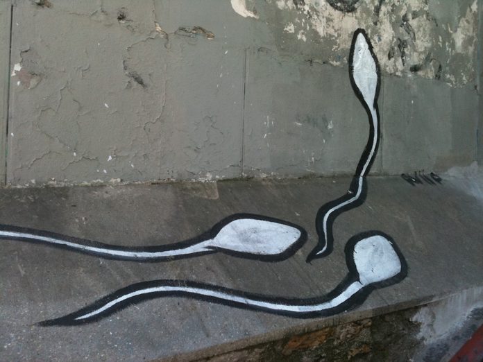 Grace Hebert - Donor Sperm - jGirls+ Magazine
