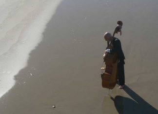Beach With Cello by Aliza Abusch-Magder