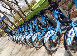 Bike Share - Audrey Honig - jGirls+ Magazine