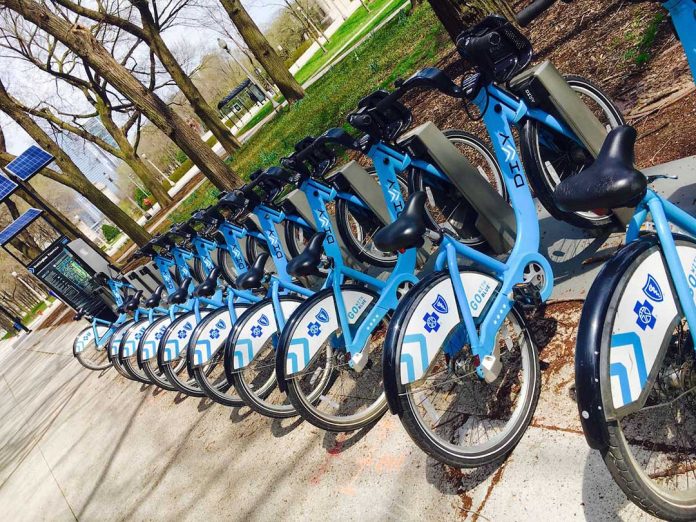 Bike Share - Audrey Honig - jGirls+ Magazine