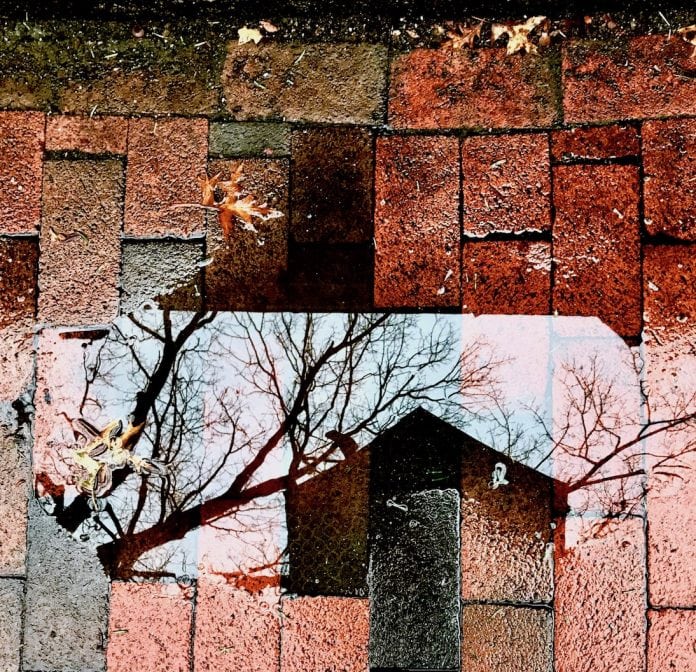 Untitled - Liora Meyer