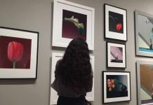 The Question All Prospective Students Should Ask Colleges by Minnah Stein - Photo by Aliza Abusch-Magder