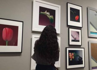 The Question All Prospective Students Should Ask Colleges by Minnah Stein - Photo by Aliza Abusch-Magder