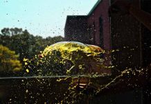 Shattered Glass by Madison Hahamy - Photo by Liora Meyer