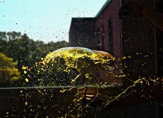 Shattered Glass by Madison Hahamy - Photo by Liora Meyer