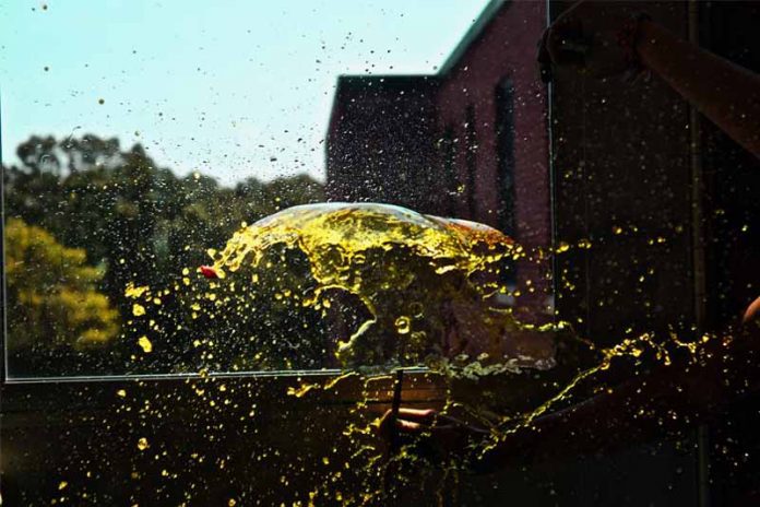 Shattered Glass by Madison Hahamy - Photo by Liora Meyer