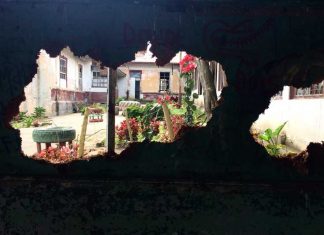 Concrete Windows by Charlotte Daniels