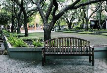 A Tree to Sit Under and Where the Waves Go by Lila Hruby