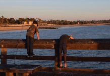 My Cape Cod by Leslie Marsh – Photo by Elena Eisenstadt
