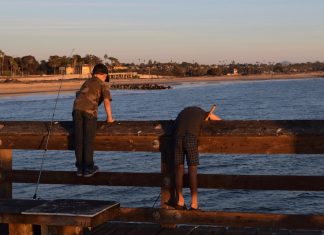 My Cape Cod by Leslie Marsh – Photo by Elena Eisenstadt