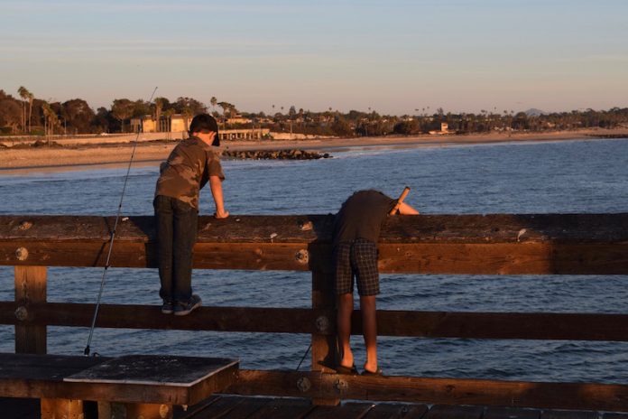 My Cape Cod by Leslie Marsh – Photo by Elena Eisenstadt
