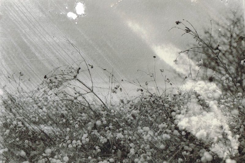 In the Wind