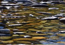 The Calmer of Two Tempests by Aydia Caplan - Photo by Elise Anstey