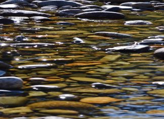 The Calmer of Two Tempests by Aydia Caplan - Photo by Elise Anstey