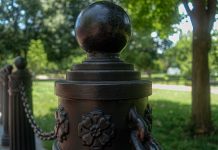 Over the Wrought-Iron Fence by Yvonne Liccione - Photo by Marika Campbell-Blue