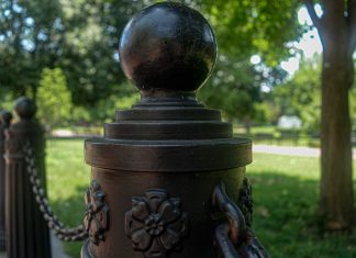 Over the Wrought-Iron Fence by Yvonne Liccione - Photo by Marika Campbell-Blue