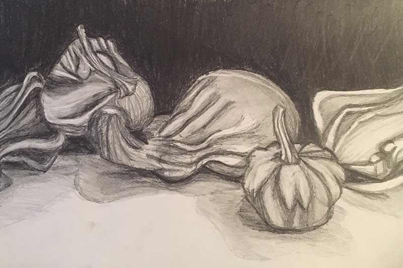 An Abundance of Gourds