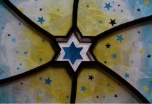 A Lens to the Past, a Window to the Future by Jess Daninhirsch