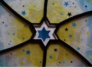 A Lens to the Past, a Window to the Future by Jess Daninhirsch