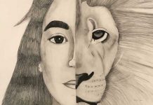 The Other Half by Sophie Stein