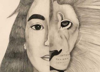 The Other Half by Sophie Stein