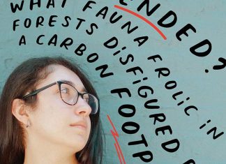 Elevating Unheard Voices by Elizabeth Shvarts