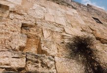 Home in Jerusalem by Sophie Ungerleider - Photo by Alex Garrow
