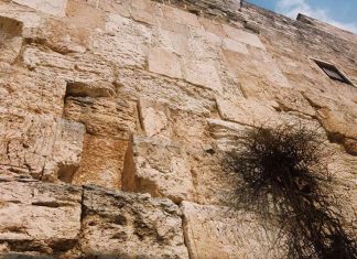 Home in Jerusalem by Sophie Ungerleider - Photo by Alex Garrow