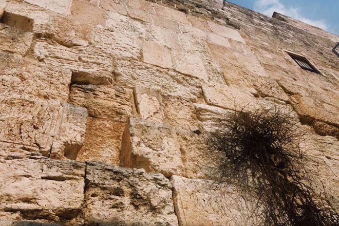 Home in Jerusalem by Sophie Ungerleider - Photo by Alex Garrow