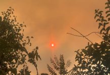 Glowing Red Sun by Sonja Lippmann
