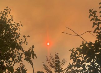 Glowing Red Sun by Sonja Lippmann