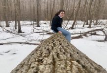 of Felled and Fallen by Anonymous - photo by Zoe Oppenheimer