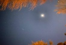 My Tivnu Gap Year on the Pale Blue Dot by Aliza Saunders - Photo by Molly Voit