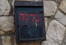 My Impact On Social Justice, as a Teenage Jew By: Hannah Shapiro - Photo by Elena Eisenstadt