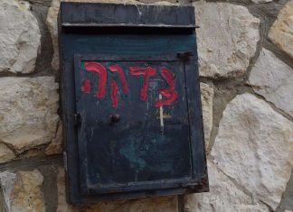 My Impact On Social Justice, as a Teenage Jew By: Hannah Shapiro - Photo by Elena Eisenstadt