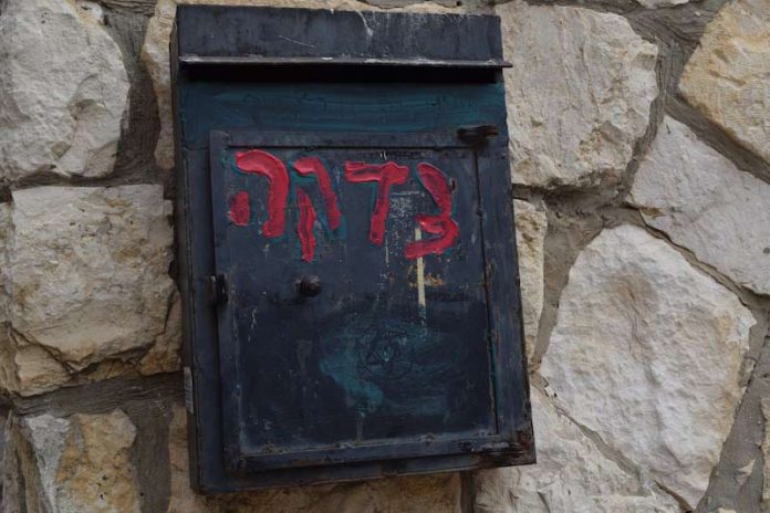 My Impact On Social Justice, as a Teenage Jew By: Hannah Shapiro - Photo by Elena Eisenstadt
