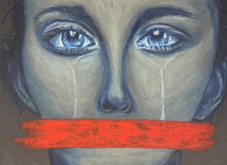 Silenced by Leah Schutz