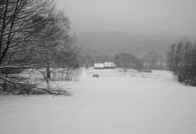 Gray Area by A.L.Liss - Photo by Zoe Oppenheimer