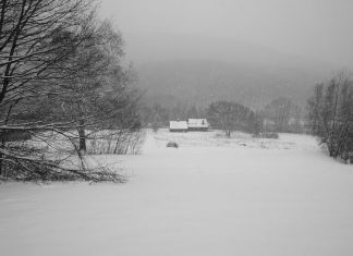 Gray Area by A.L.Liss - Photo by Zoe Oppenheimer