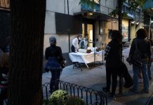 What Color is Jewish? by Stefanie Rose - Photo by Zoe Oppenheimer