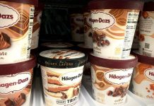 Häagen-Dazs: A Jewish Story of Immigration, Entrepreneurship, and Ice Cream by Ilena Moses - Photo by Sonja Lippmann