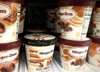 Häagen-Dazs: A Jewish Story of Immigration, Entrepreneurship, and Ice Cream by Ilena Moses - Photo by Sonja Lippmann
