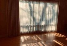 Shadows-by-Hannah-Rubenstein.jpg