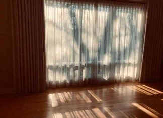Shadows-by-Hannah-Rubenstein.jpg