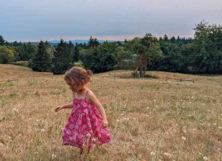 Photo Pink Dress by Lydia Miller. A photo of a young girl with short blond hair and a bright pink dress in a field of tall grass with a blue sky.
