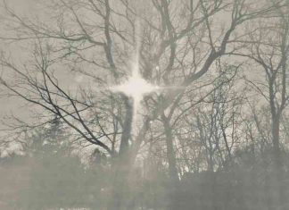 Stars and Scars by Sarah Jean - photo by Hannah Rubenstein