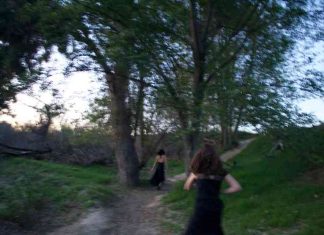 escaping_danielledeculus-.jpg