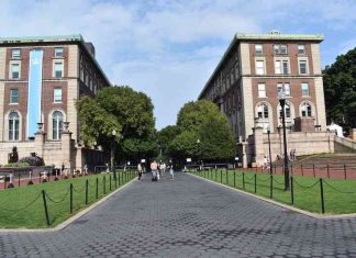 Columbia by Hannah Rubenstein for A Lasting Impact by Jada Bromberg
